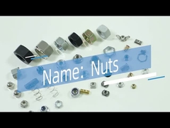 Écrous en alliage de zinc fraisés de la Chine d'écrou de meubles de tête